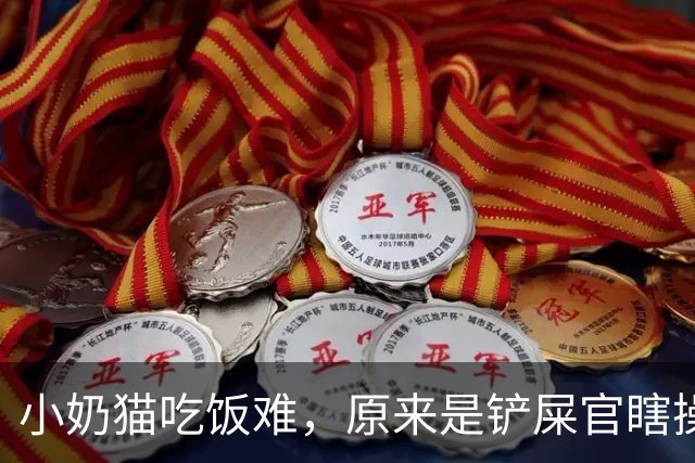 小奶猫吃饭难，原来是铲屎官瞎操心！